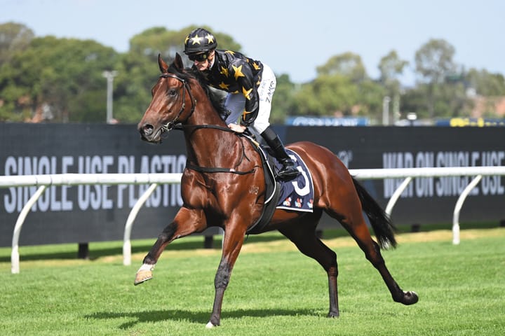 Widden Victoria introduces a king from a royal family