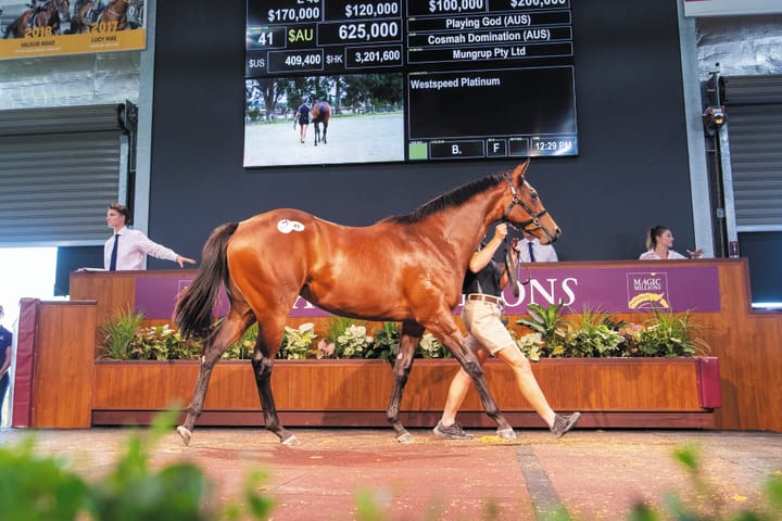 Magic Millions PERTH 2025 First Season Sires